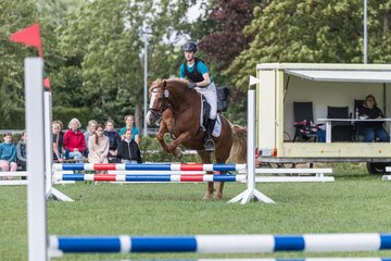 Bild 132 - Pony Akademie Turnier